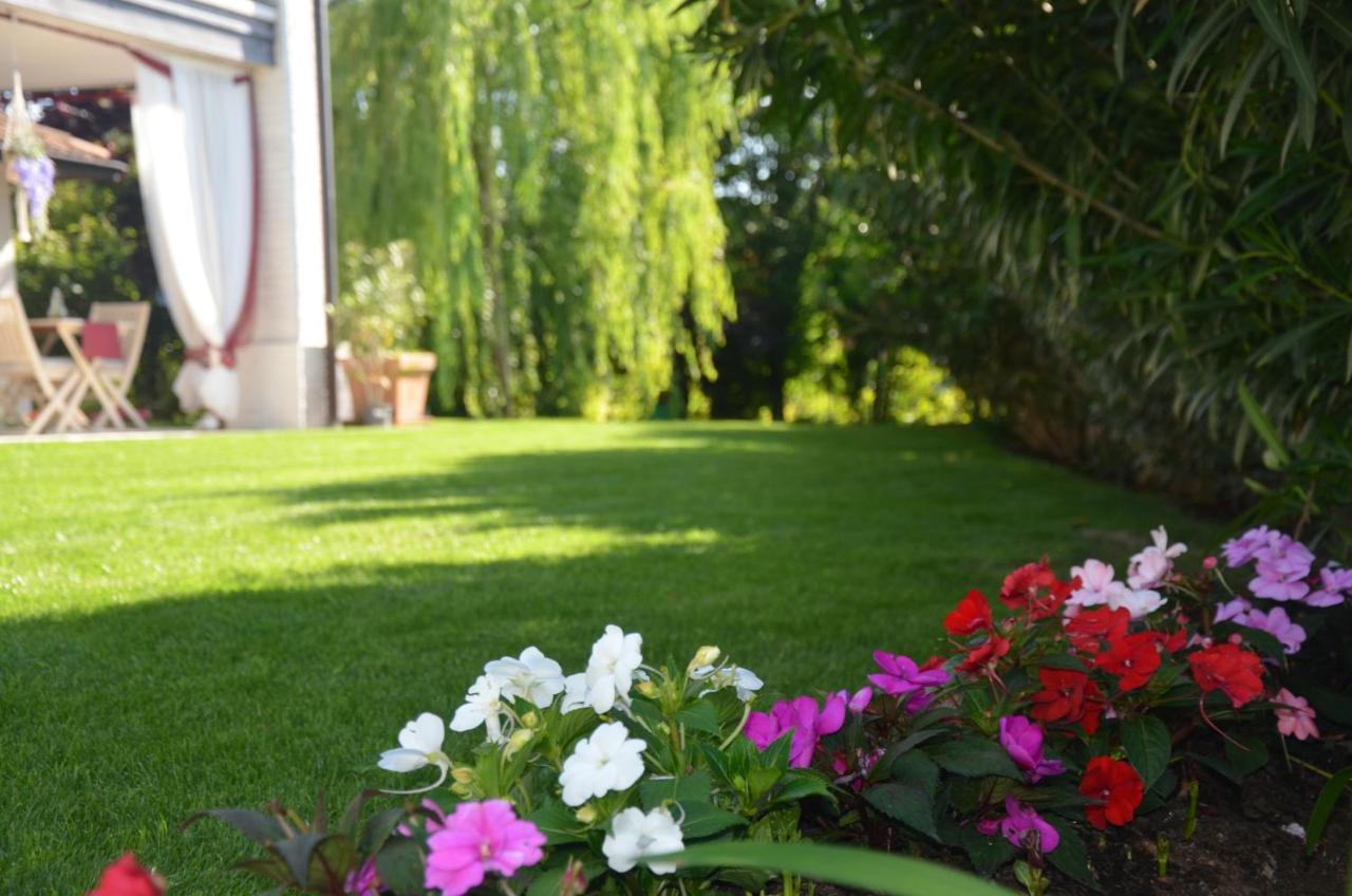 Asso Bed & Breakfast Manerba del Garda Bagian luar foto