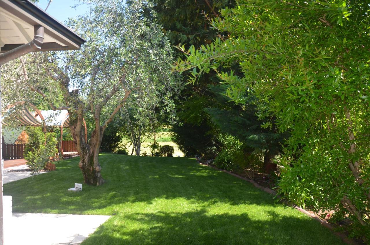 Asso Bed & Breakfast Manerba del Garda Bagian luar foto